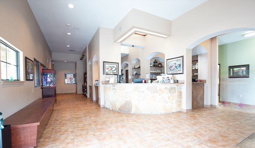 atascocita animal hospital reception