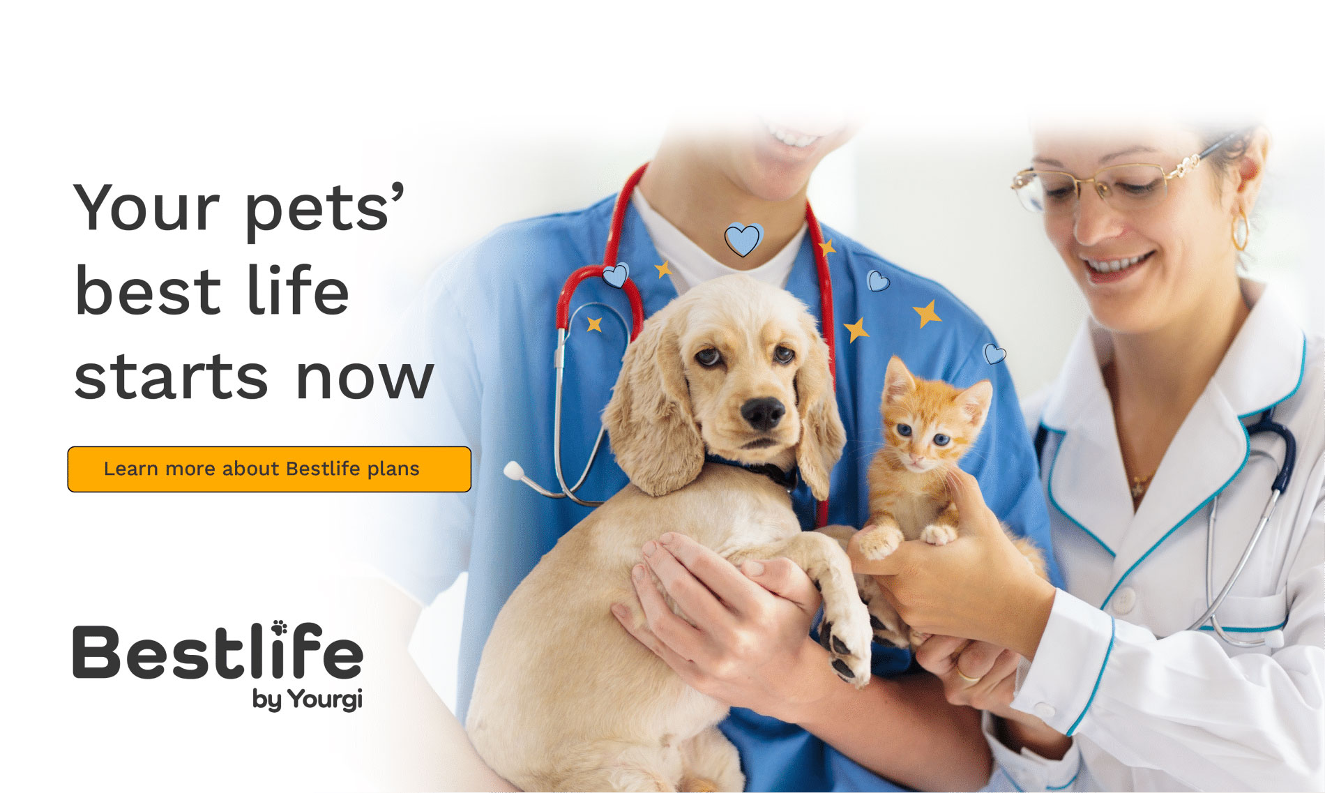 Young female veterinarian doctor listen to dog with stethoscope