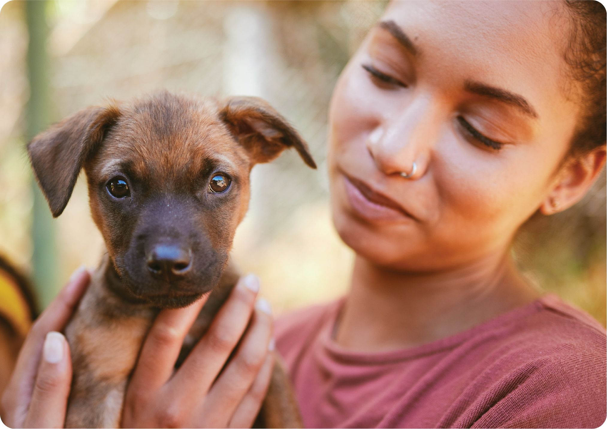 woman looking her brown puppy