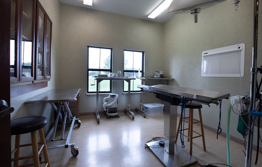 atascocita animal hospital surgery room