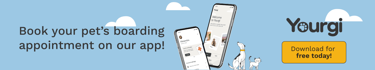 Meet our new app, Yourgi